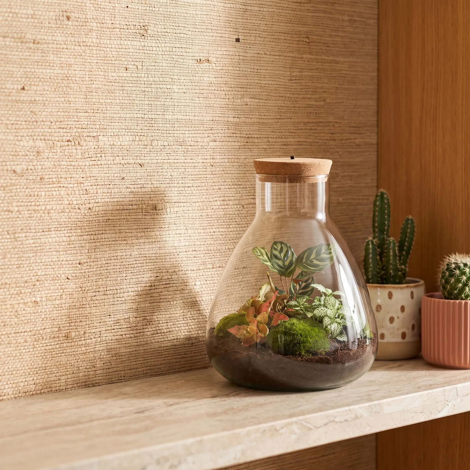 Urbanjungl Sam Calathea planten terrarium kit 30 cm met licht