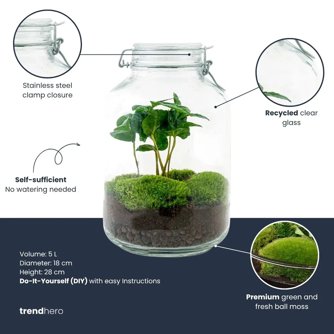 Urbanjungl Jar Bonsai planten terrarium DIY kit Ø18 cm