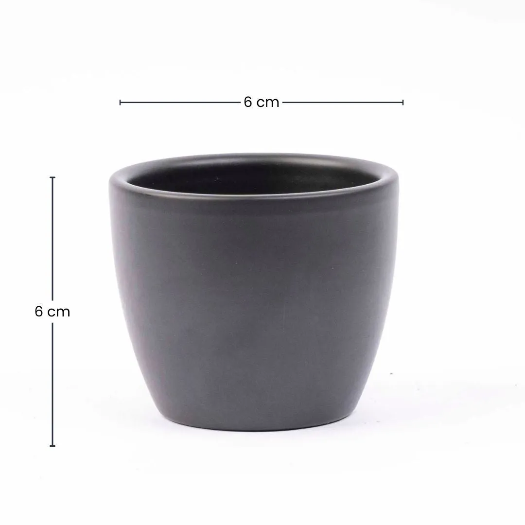 Urbanjungl mini plantenpot antraciet mat Ø6 cm