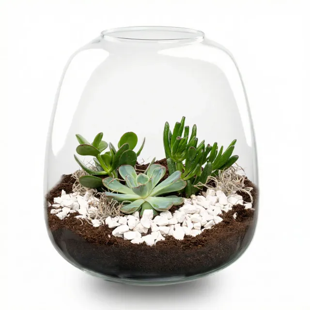 Emma Succulent open terrarium DIY kit Ø23 cm
