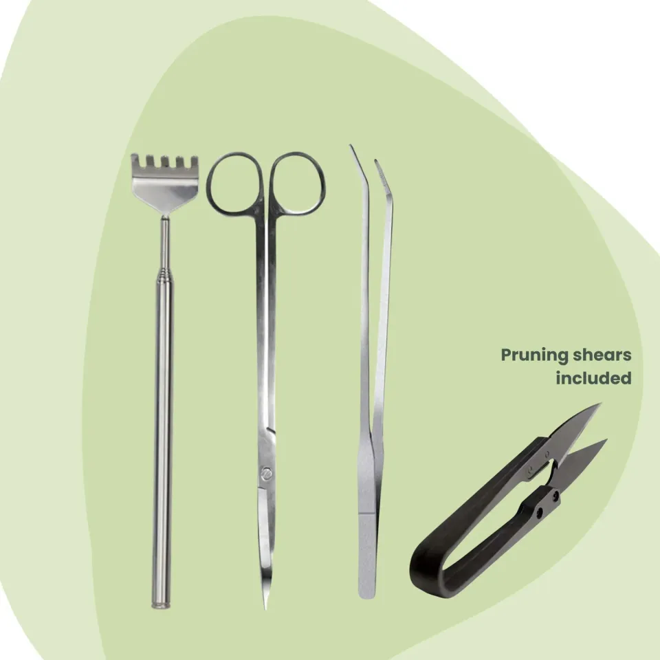 Urbanjungl Terrarium Tools Bundle RVS 4-delig