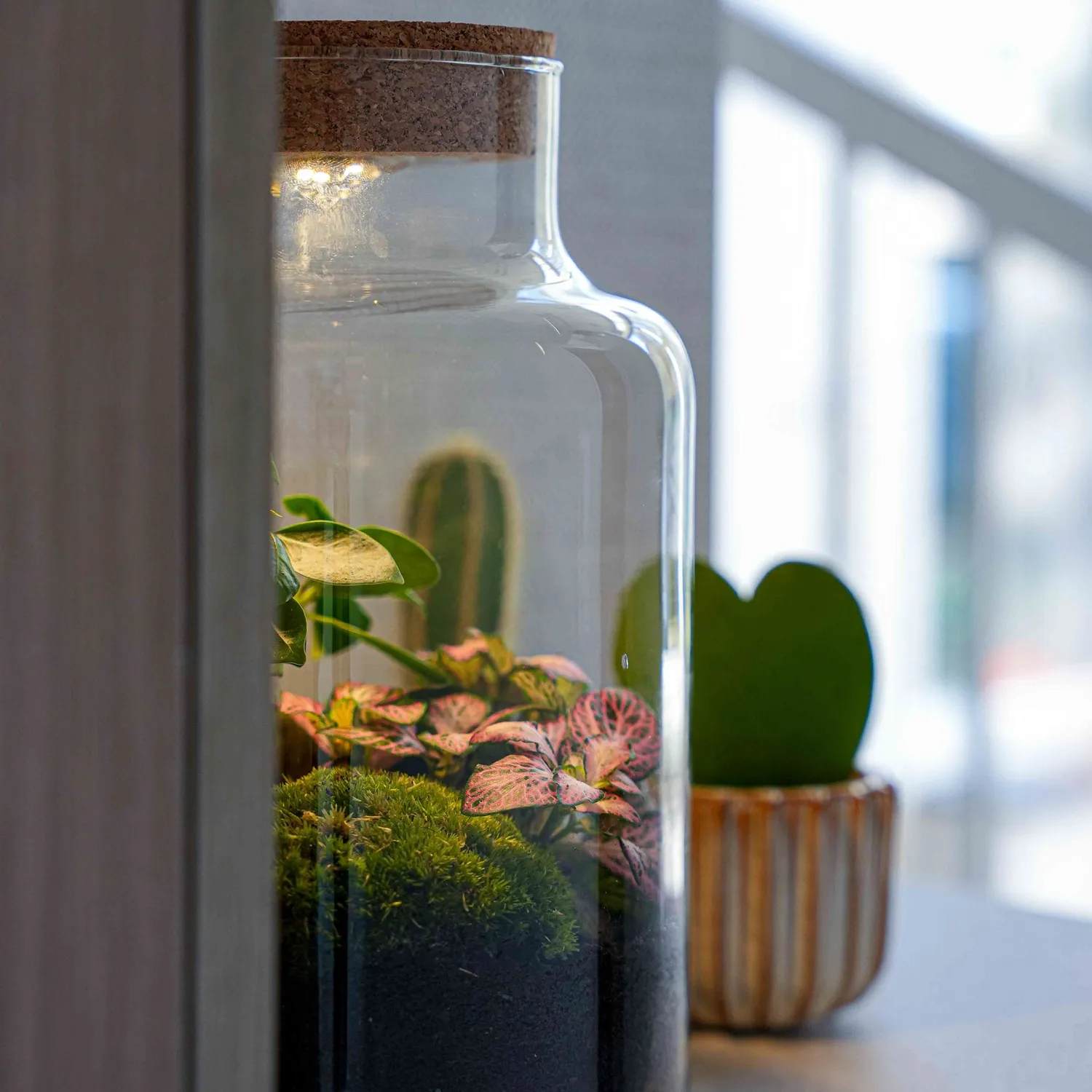 Urbanjungl Little Milky terrarium DIY kit LOVE MOM 25 cm