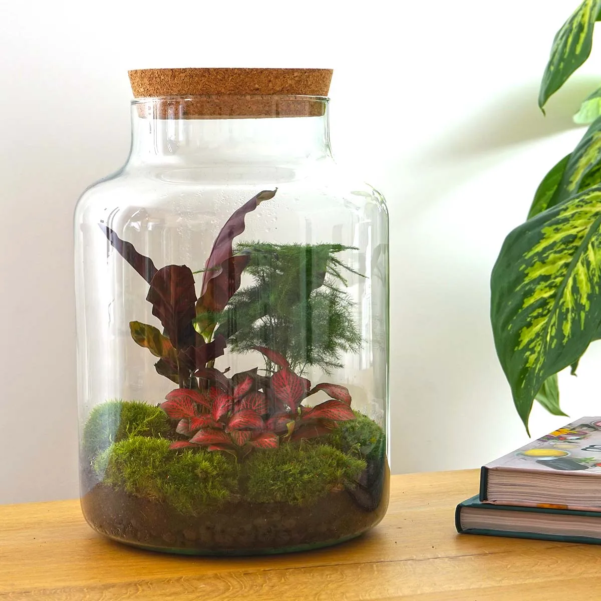 Urbanjungl Milky terrarium DIY kit Ø 21 cm met licht
