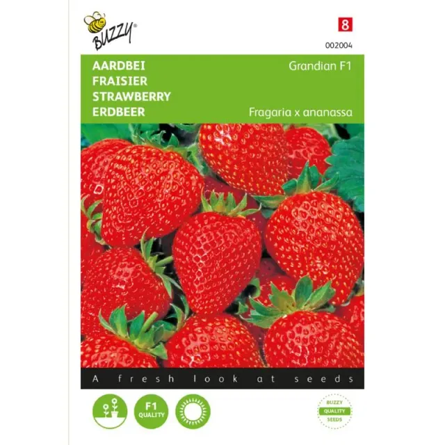 The Natural World Aardbei Grandian F1 plant zoet