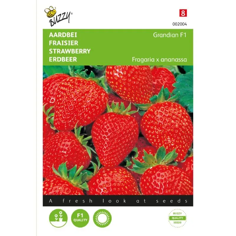 The Natural World Aardbei Grandian F1 plant zoet