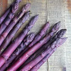 The Natural World Asperge Albenga F1 zaden paars