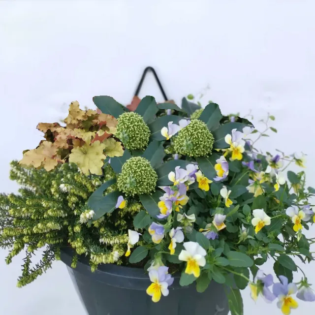 Huyskweker Gameren Herfst MM herfstplanten mix