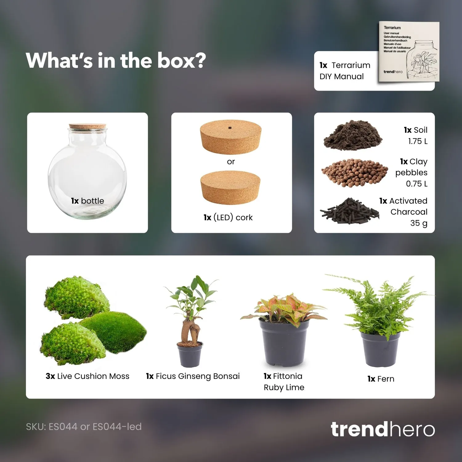 Urbanjungl Bolder Bob Bonsai terrarium DIY kit met licht Ø31 cm