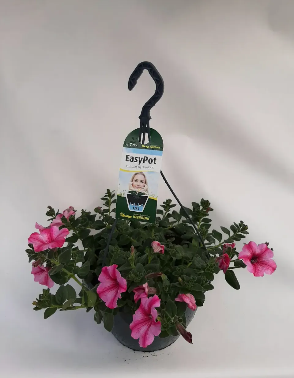 Tuincentrum Heerdink Petunia Carmine Star Hangplant Balkon