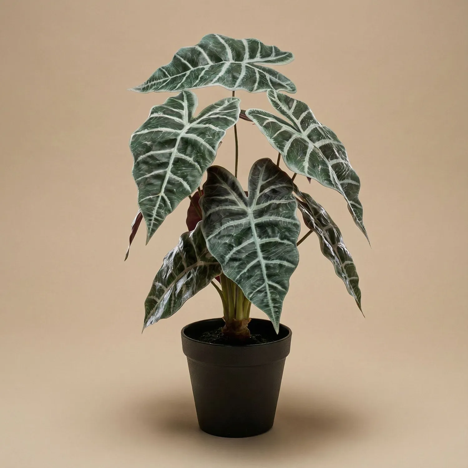 Urbanjungl Alocasia Bush kunstplant 40 cm onderhoudsvrij