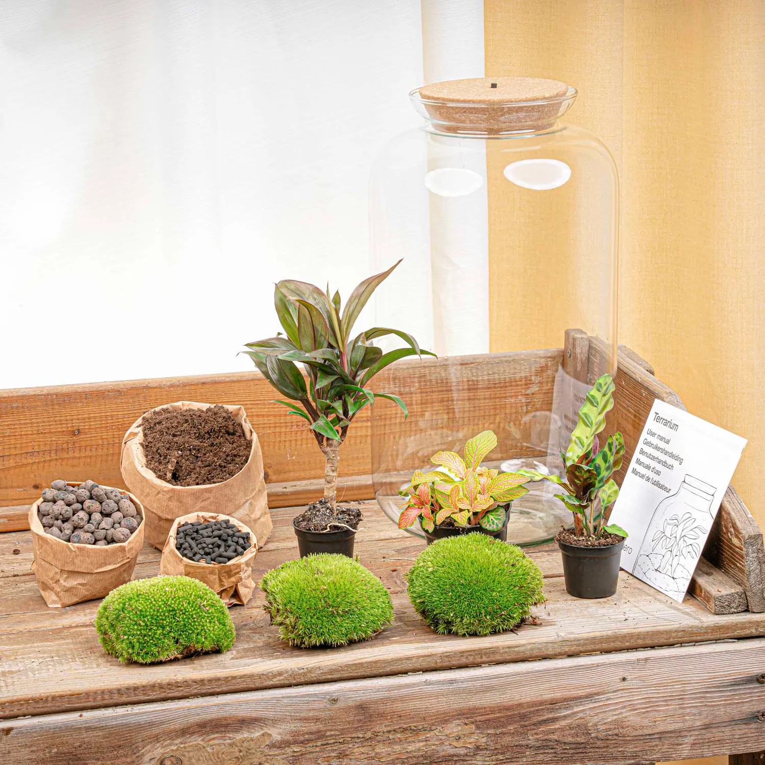 Urbanjungl Sven XL Palm Terrarium met Licht Ø23 cm
