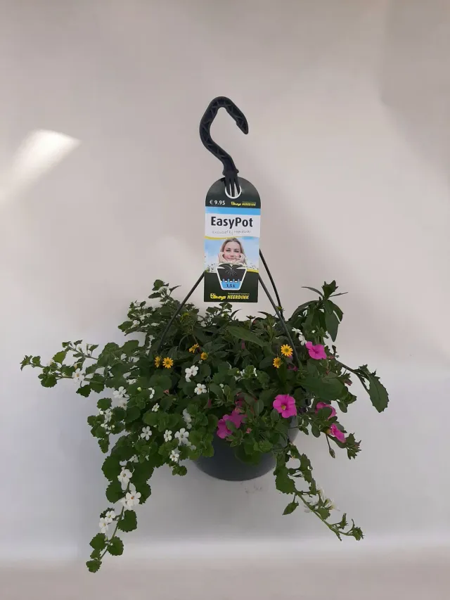 Tuincentrum Heerdink hanging basket mix 2 vijf kleuren