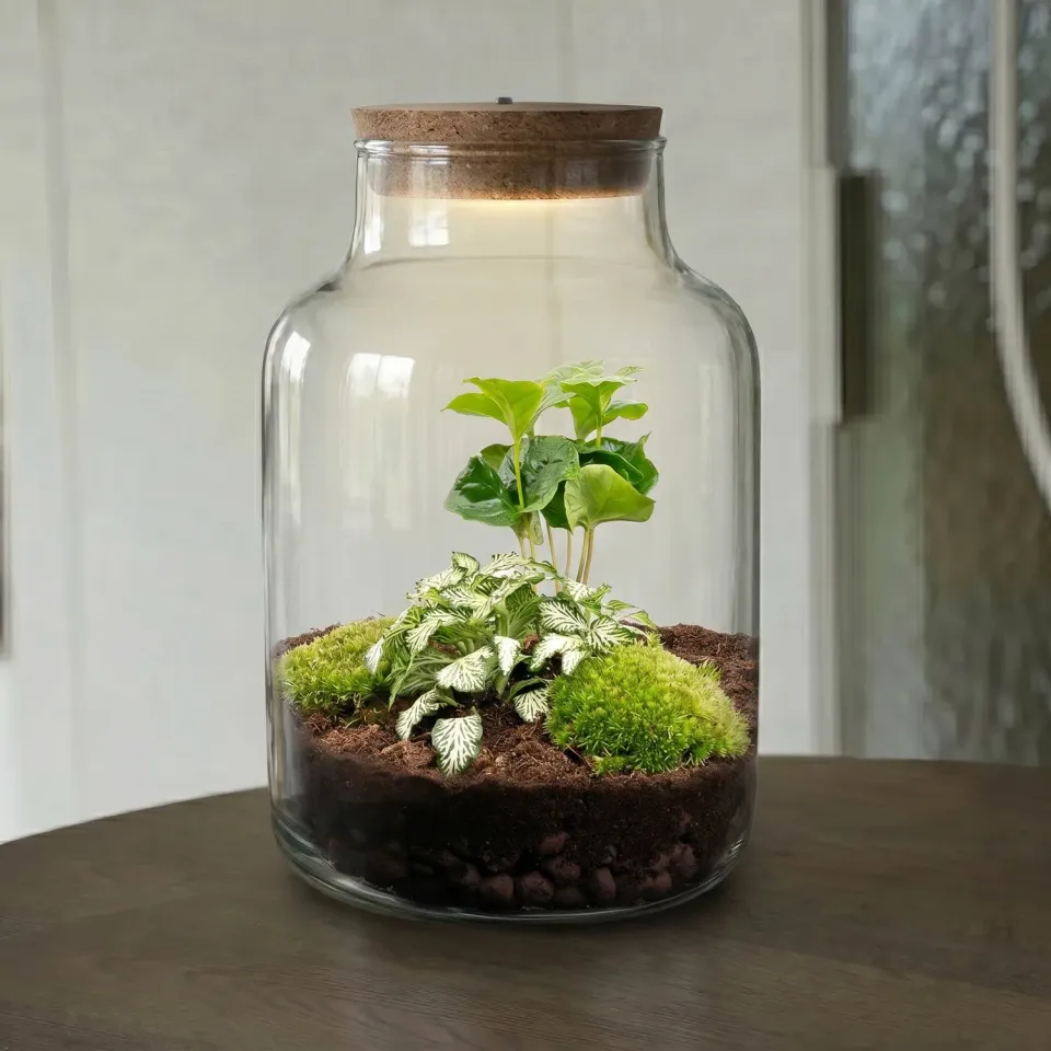 Urbanjungl Little Milky terrarium DIY-kit met licht 17 cm