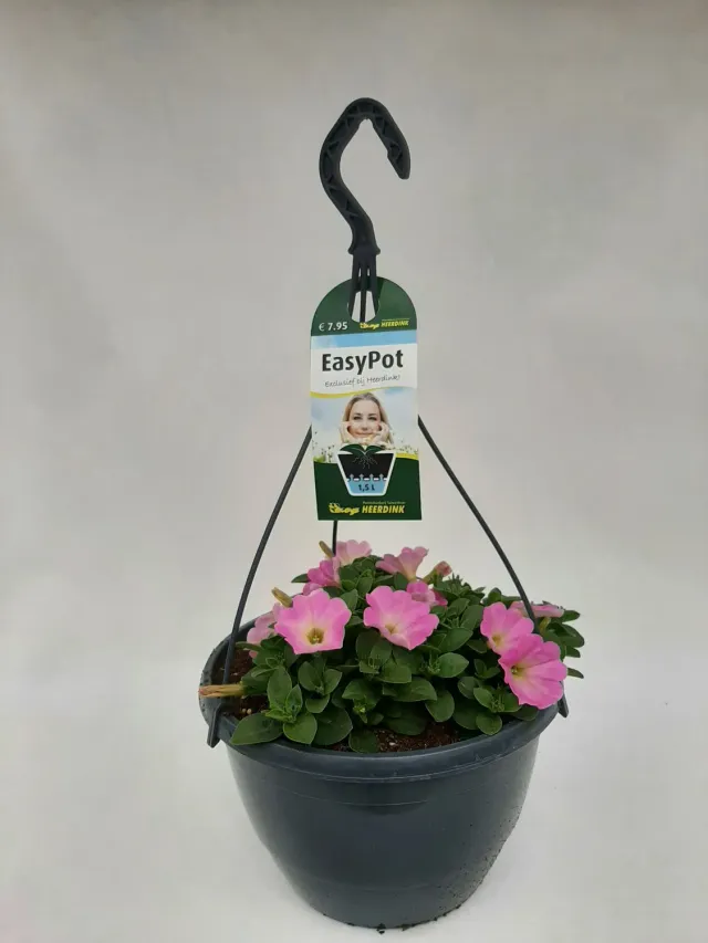 Tuincentrum Heerdink Bonnie Pink hangpetunia roze hangplant
