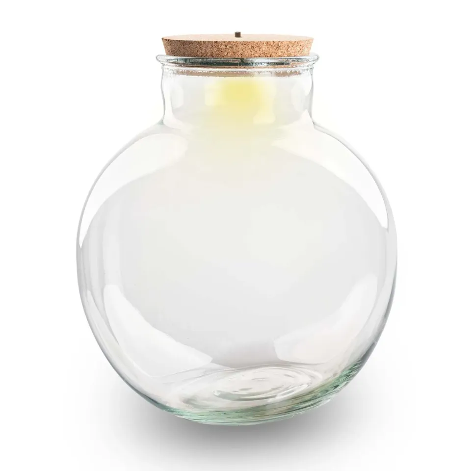 Urbanjungl Bolder Bob terrarium fles met LED kurk Ø30cm 11L