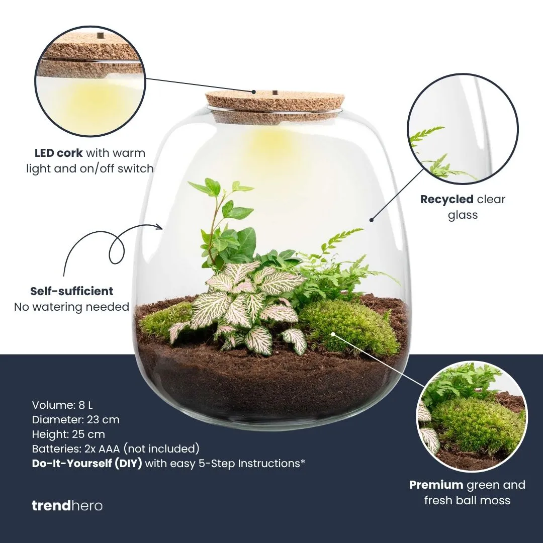 Urbanjungl Emma terrarium DIY kit bonsai pink met licht Ø 23 cm