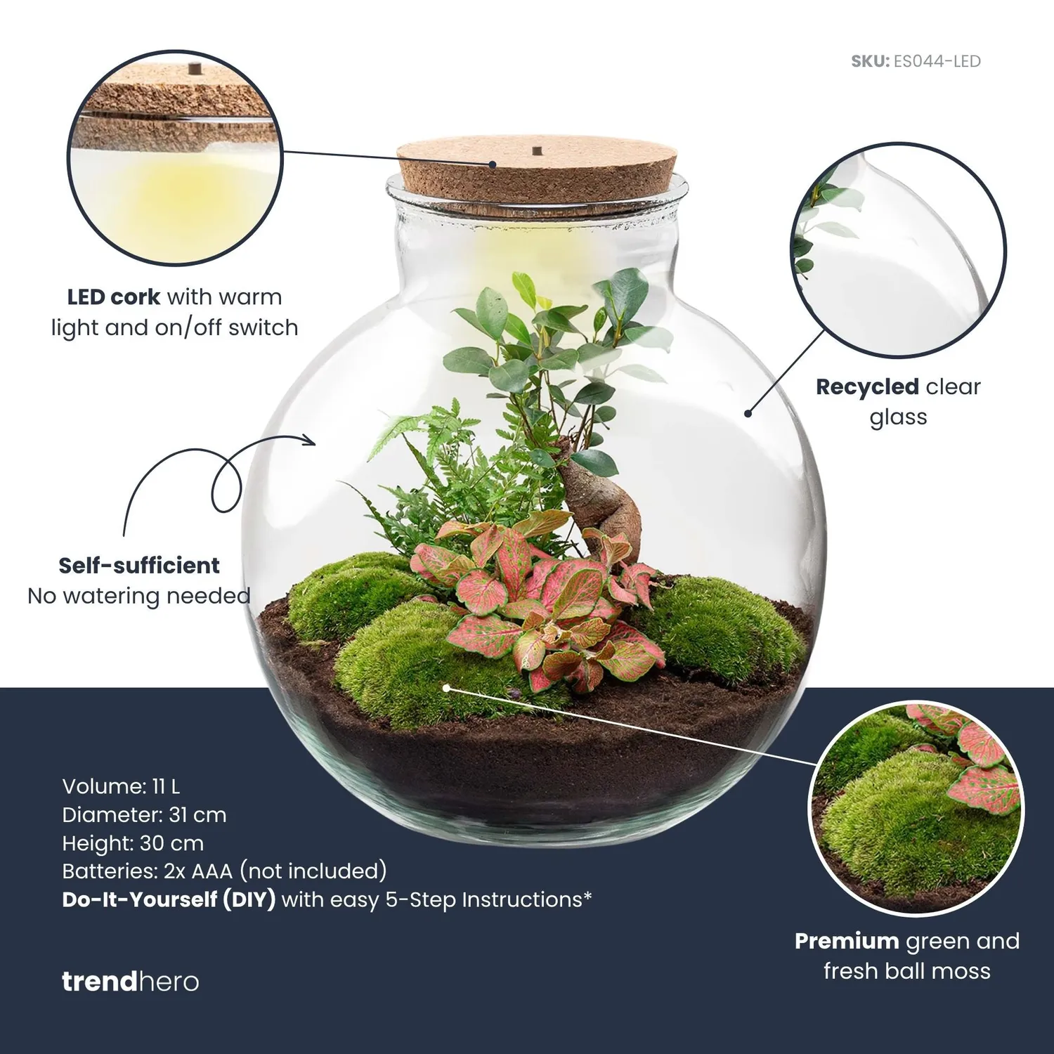 Urbanjungl Bolder Bob Bonsai terrarium DIY kit met licht Ø31 cm
