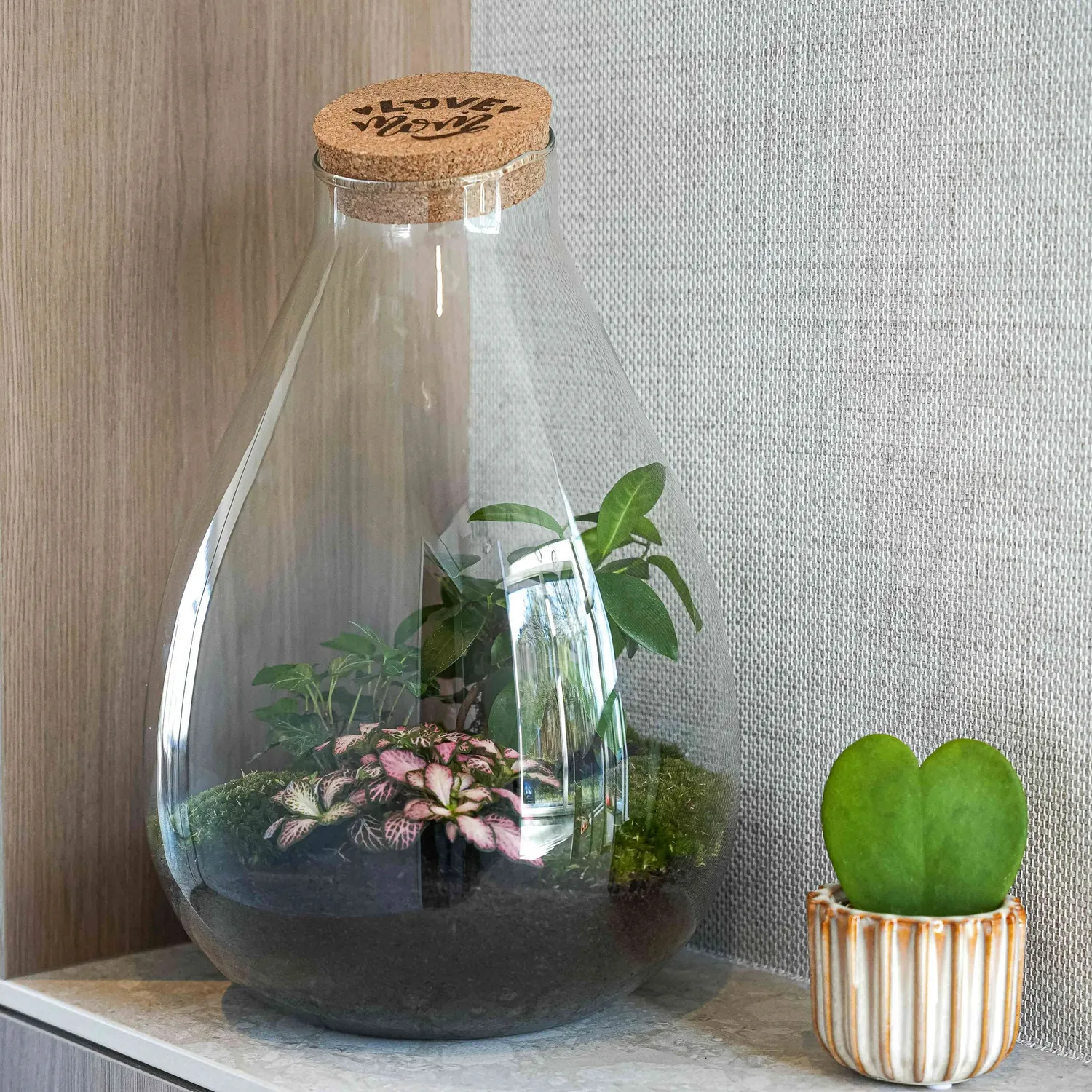 Urbanjungl Drop XL LOVE MOM Terrarium DIY Kit 37 cm