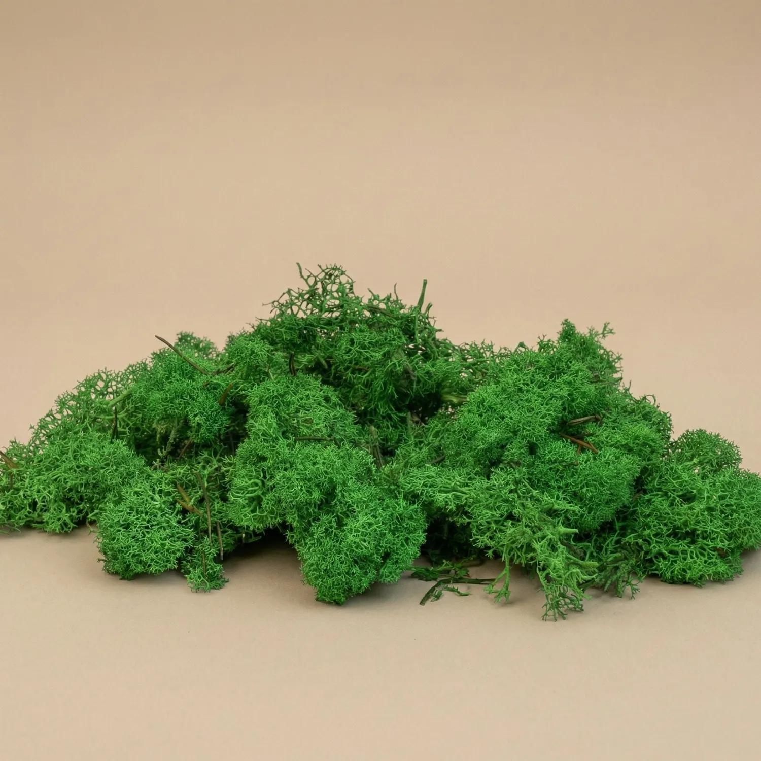 Urbanjungl Rendiermos groen decoratiemos zak 50 g
