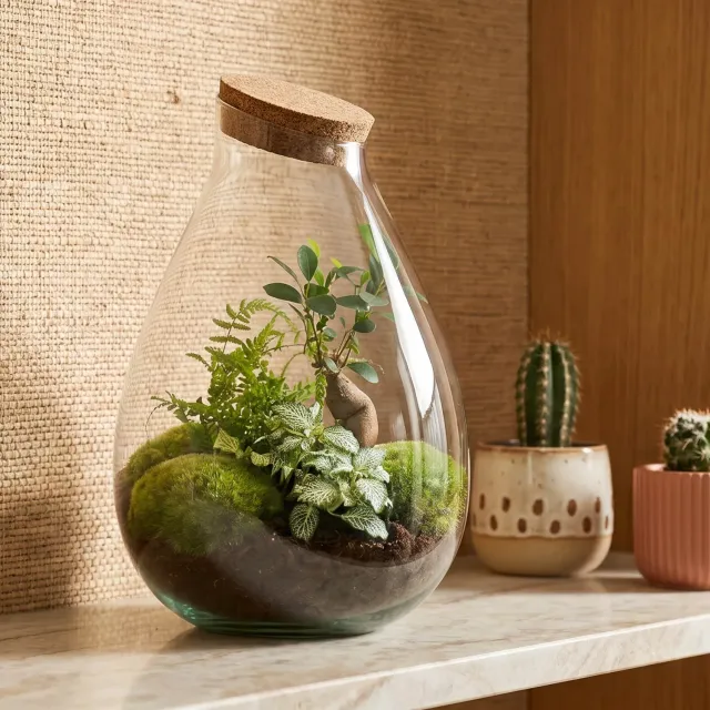 Urbanjungl Drop XL Groen terrarium DIY kit Ø 24 cm kurk