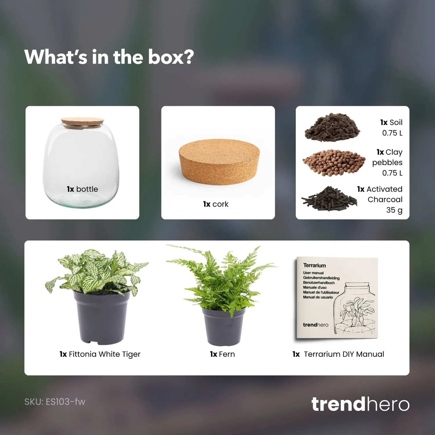 Urbanjungl Emma Mini terrarium DIY kit met kurk Ø19 cm