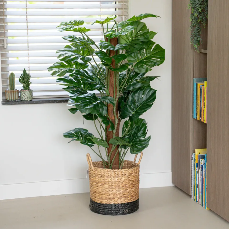 Urbanjungl Monstera kunstplant aan stok 120 cm groen