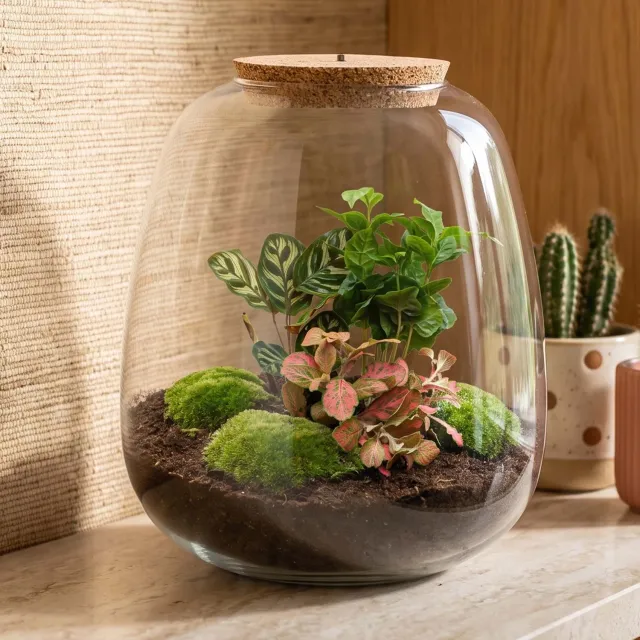 Urbanjungl Emma Coffea Red terrarium met licht Ø 23 cm