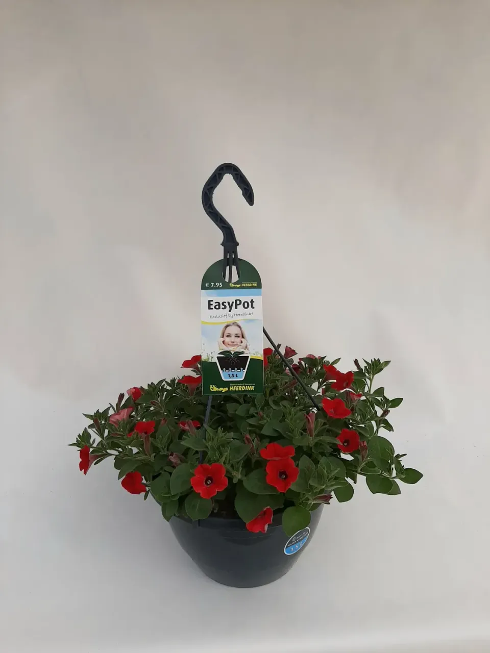 Tuincentrum Heerdink Dekko hangpetunia rood doorbloeiend
