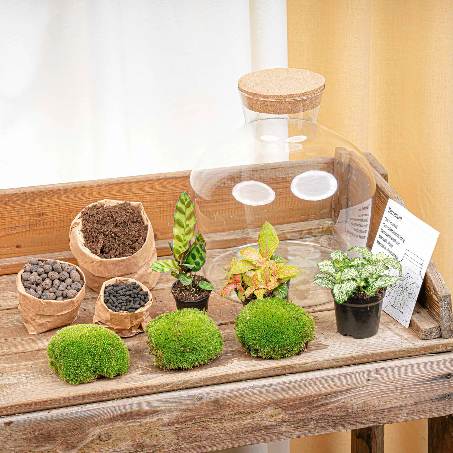 Urbanjungl Fat Joe Red terrarium DIY kit Ø 29 cm met licht