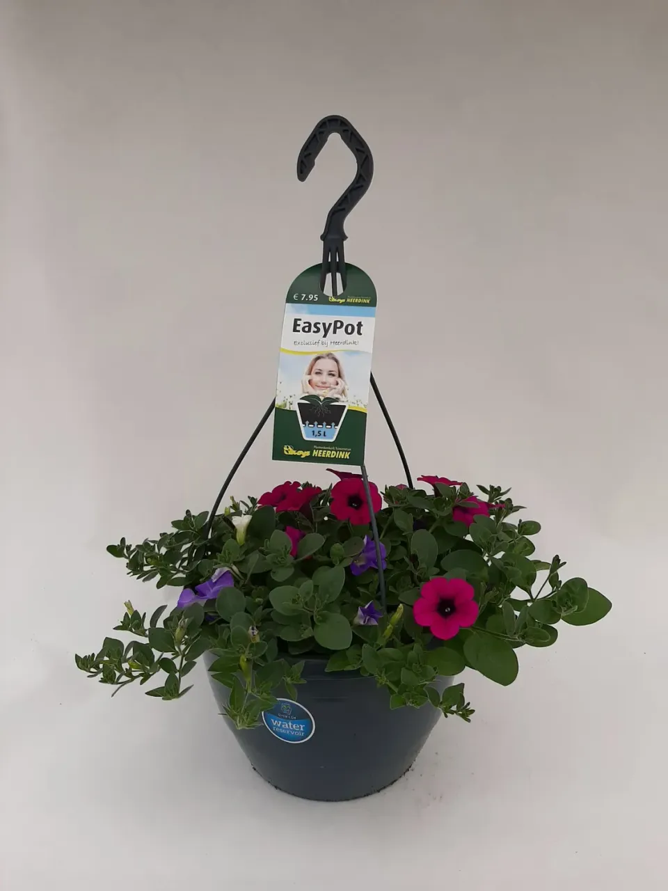 Dekko Hangpetunia Mix balkonplant hangend