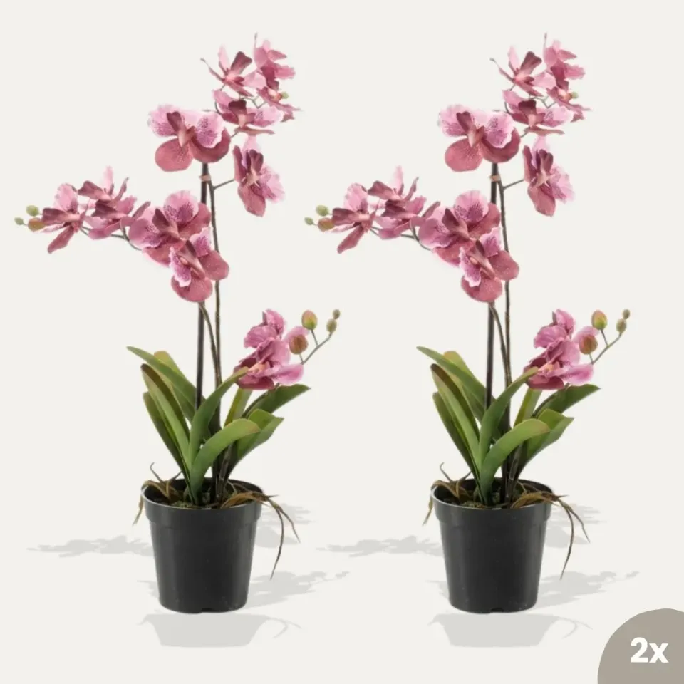 Urbanjungl Vanda roze kunstplanten 2 stuks in pot