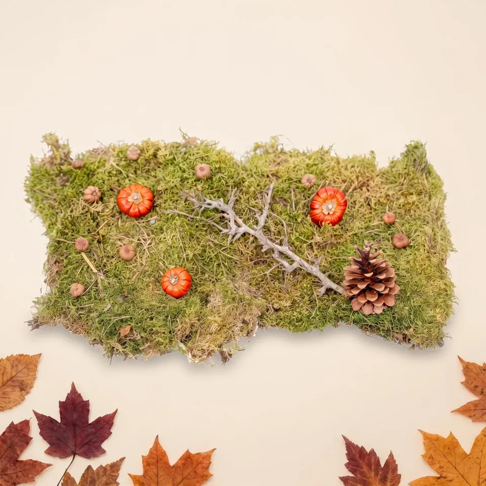 Urbanjungl Herfst deco set Medium herfstdecoratie natuur