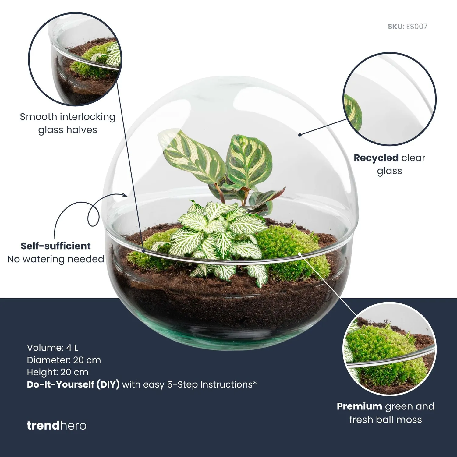 Urbanjungl Dome terrarium DIY kit Ø 20 cm gesloten