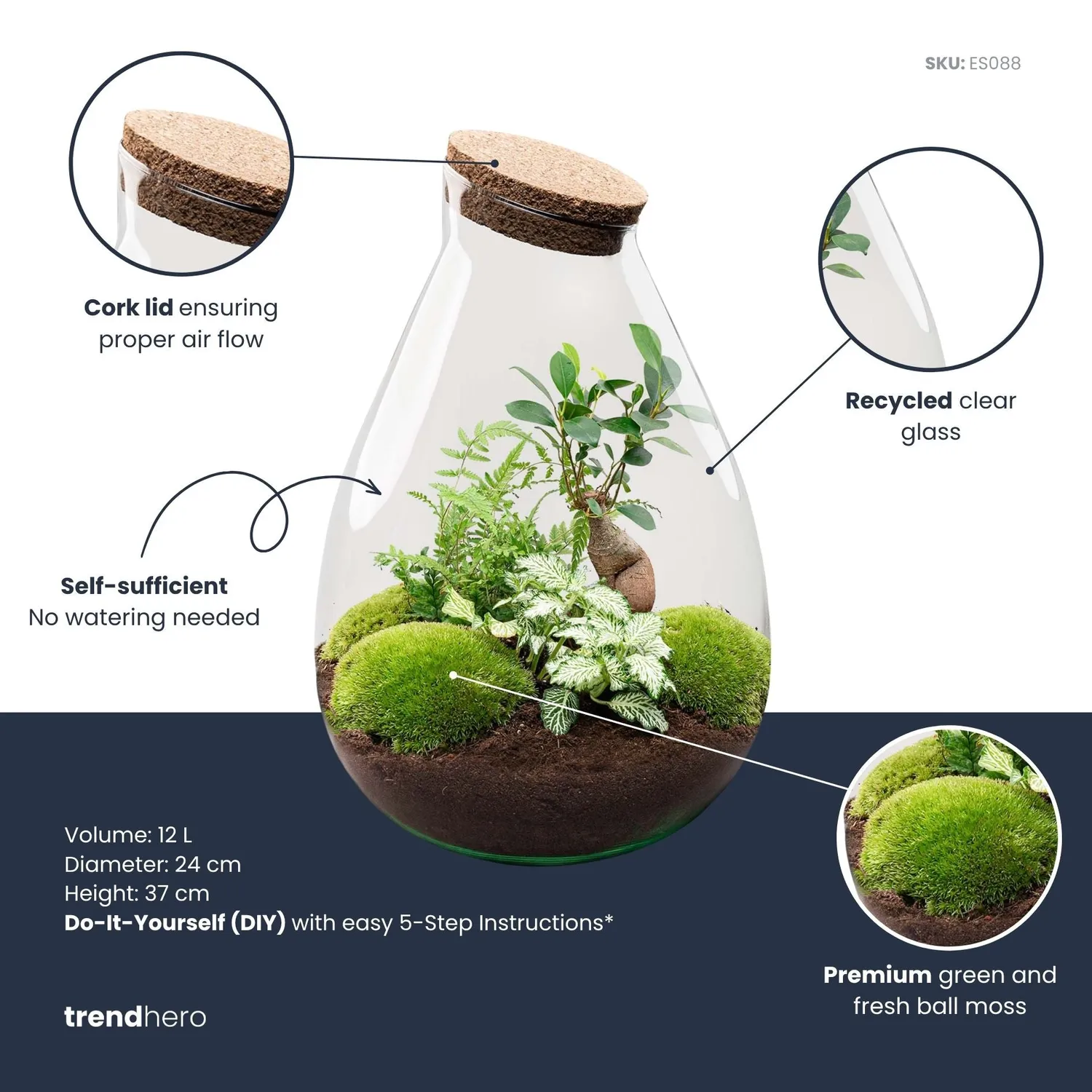 Urbanjungl Drop XL Groen terrarium DIY kit Ø 24 cm kurk