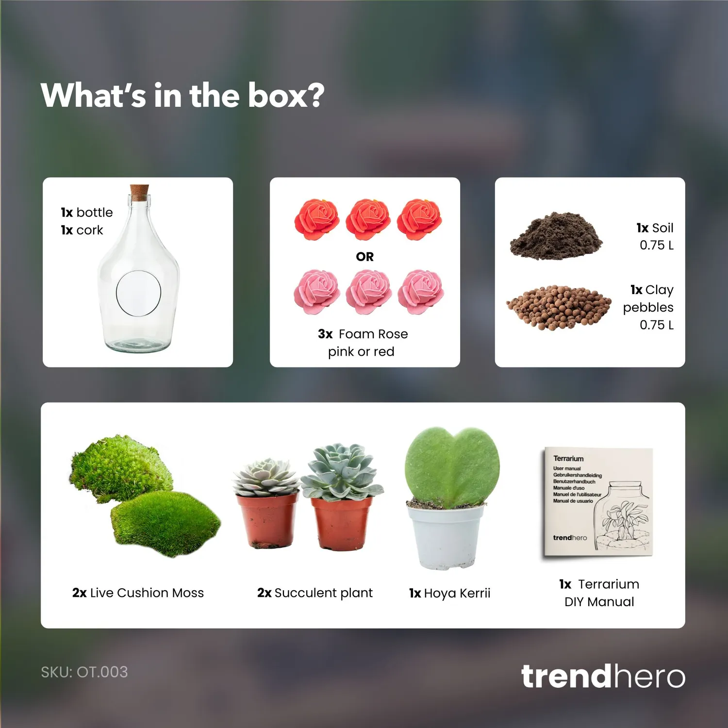 Urbanjungl Love in a Bottle open terrarium DIY kit