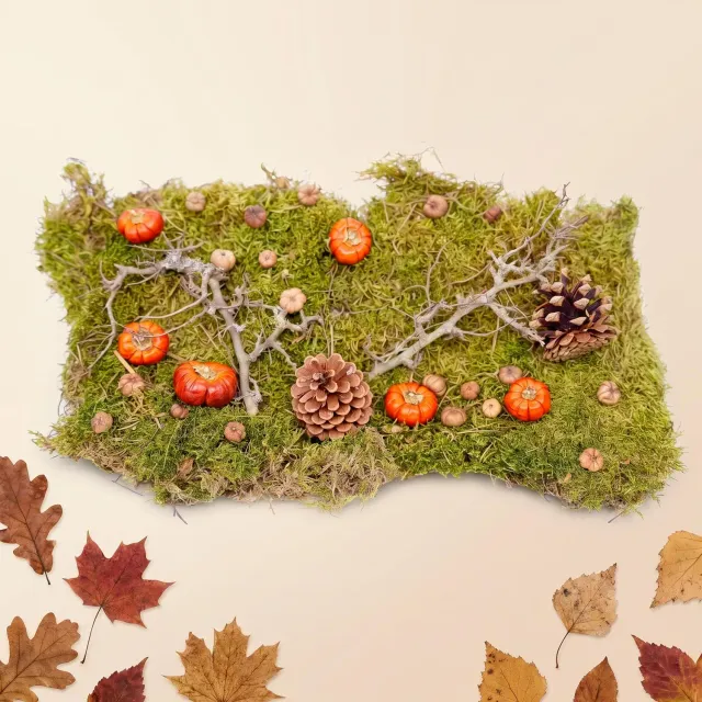 Urbanjungl Herfst deco kit gedroogd natuur 30x20 cm