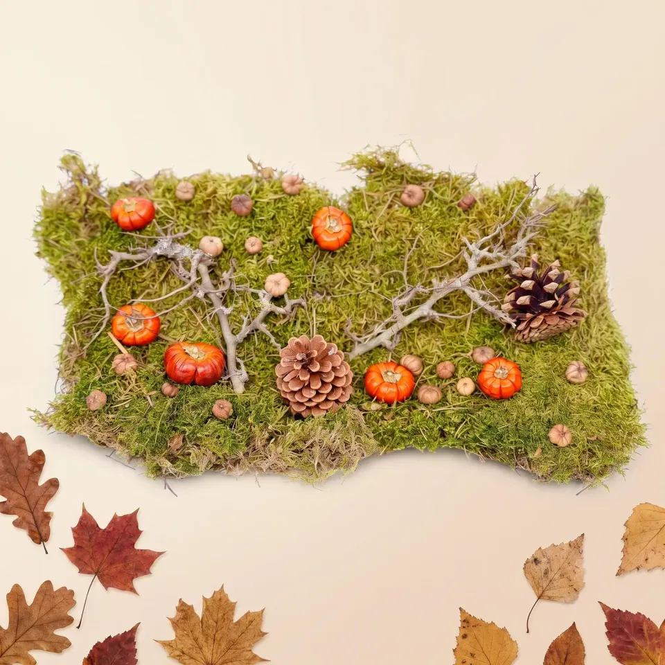 Urbanjungl Herfst deco kit gedroogd natuur 30x20 cm