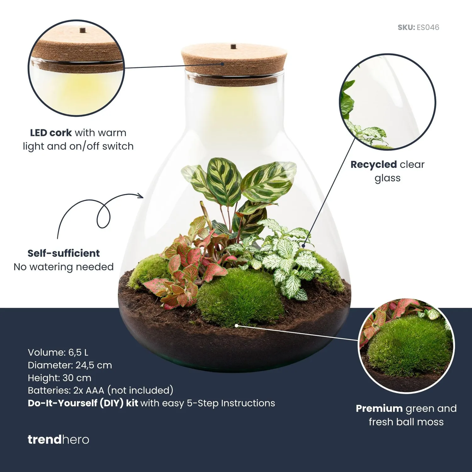 Urbanjungl Sam Calathea planten terrarium kit 30 cm met licht