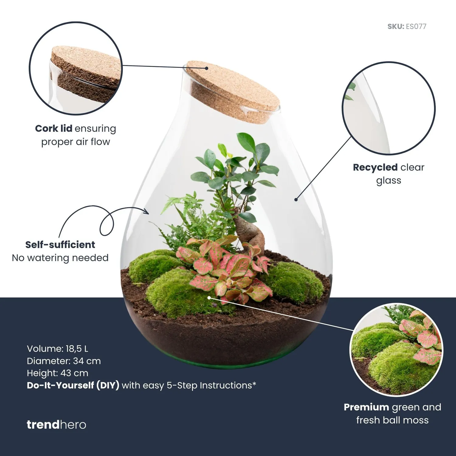 Urbanjungl Drop XXL Bonsai terrarium Ø 34 cm DIY kit