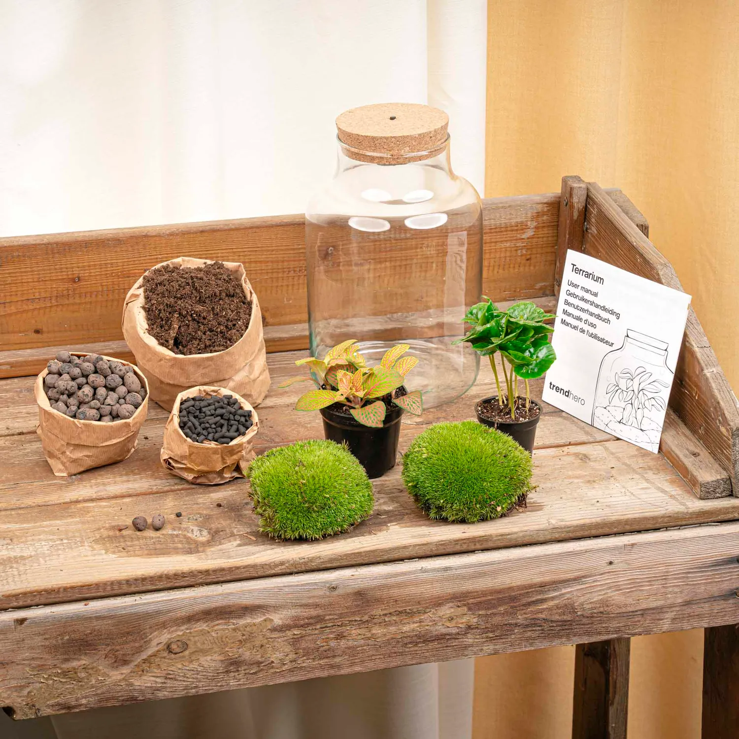 Urbanjungl Little Milky terrarium DIY kit Coffea Fittonia Ø17cm