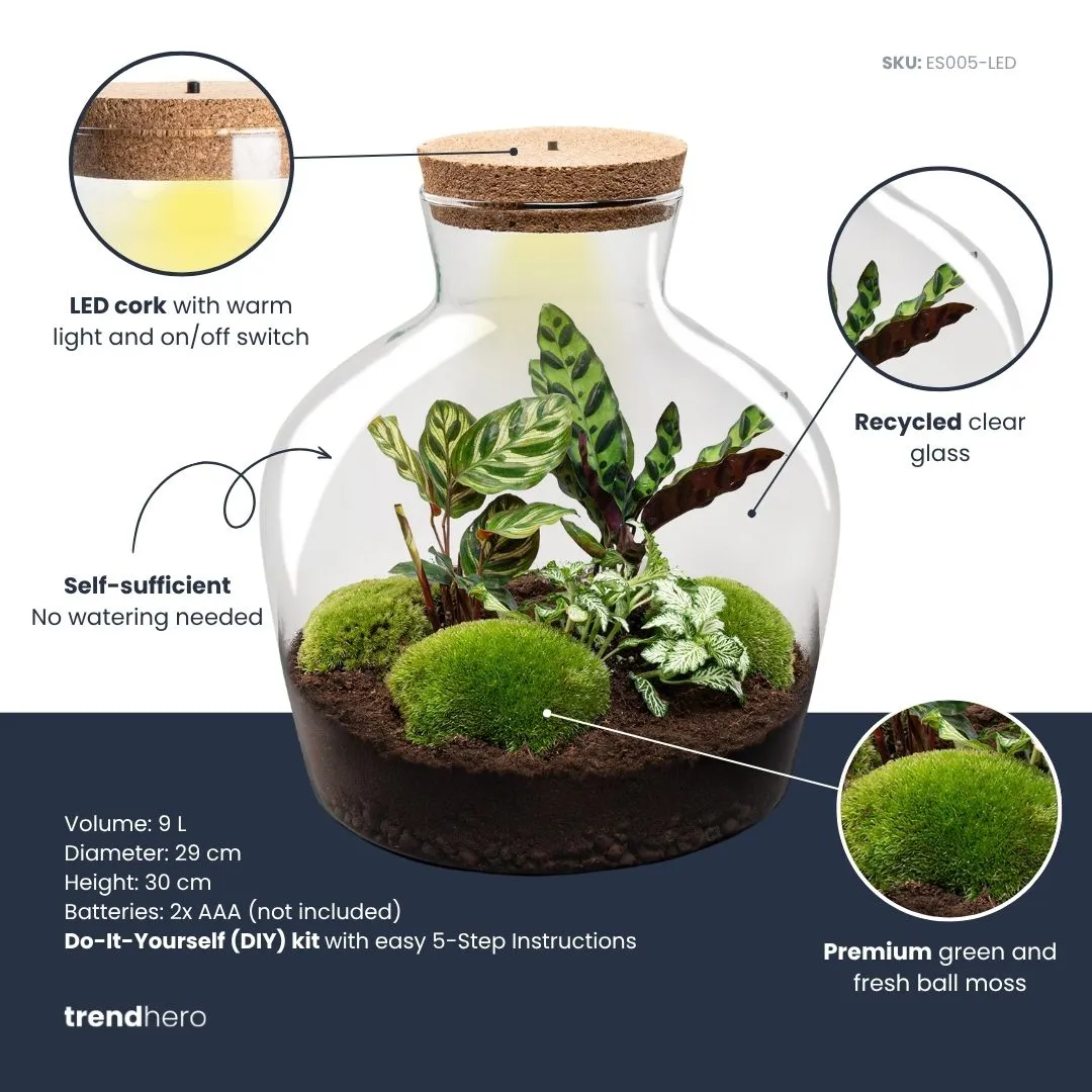 Urbanjungl Fat Joe plantenterrarium DIY kit met licht 29 cm