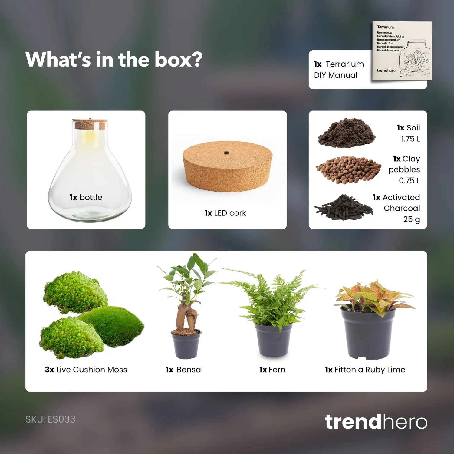 Urbanjungl Sam XL Bonsai planten terrarium kit met licht