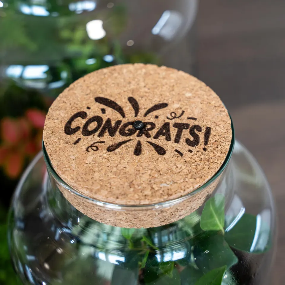 Urbanjungl LED-kurkdeksel Congrats terrarium maat M