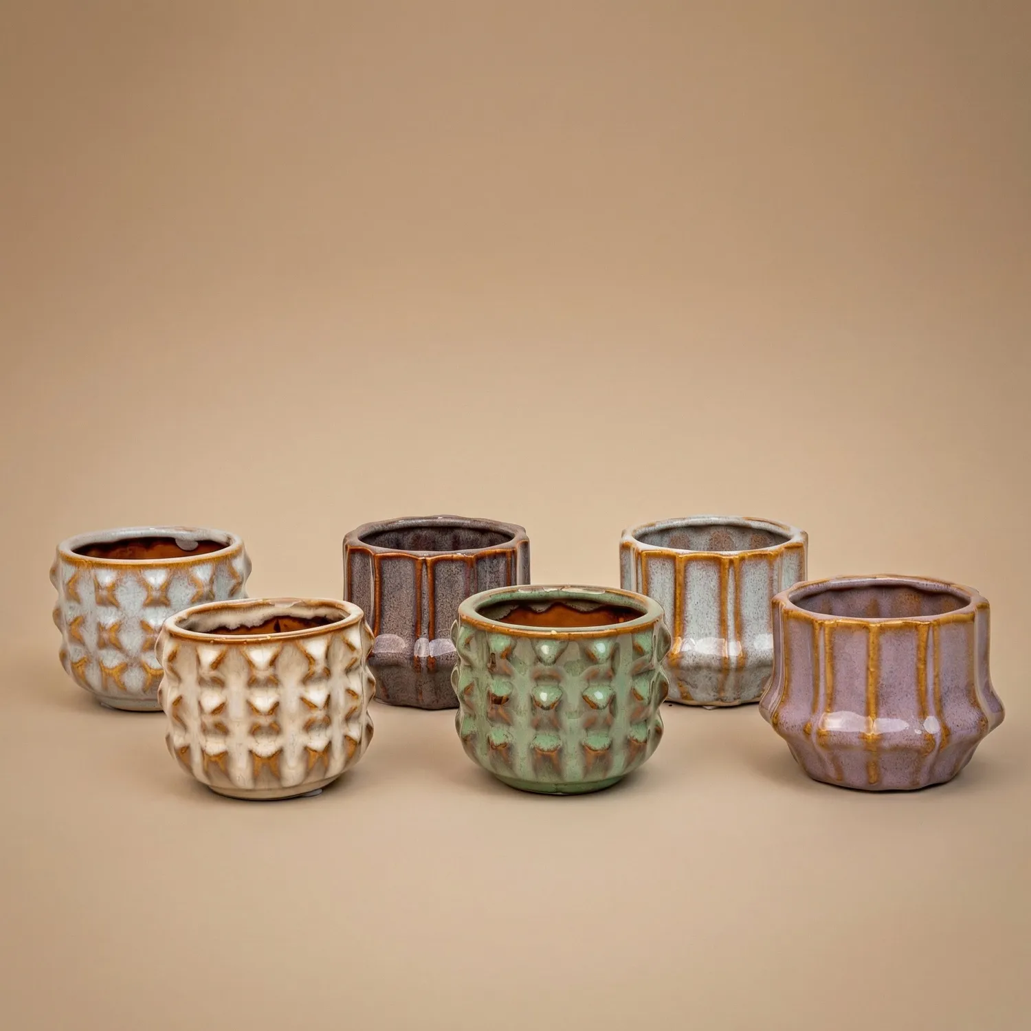 Urbanjungl San Juan Succulenten Set 6 Mini Potjes 8-12 cm