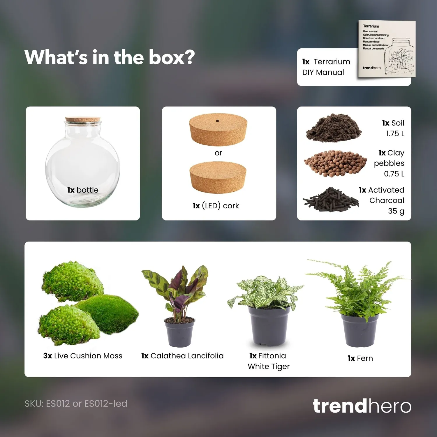 Urbanjungl Bolder Bob planten terrarium kit 31 cm met licht