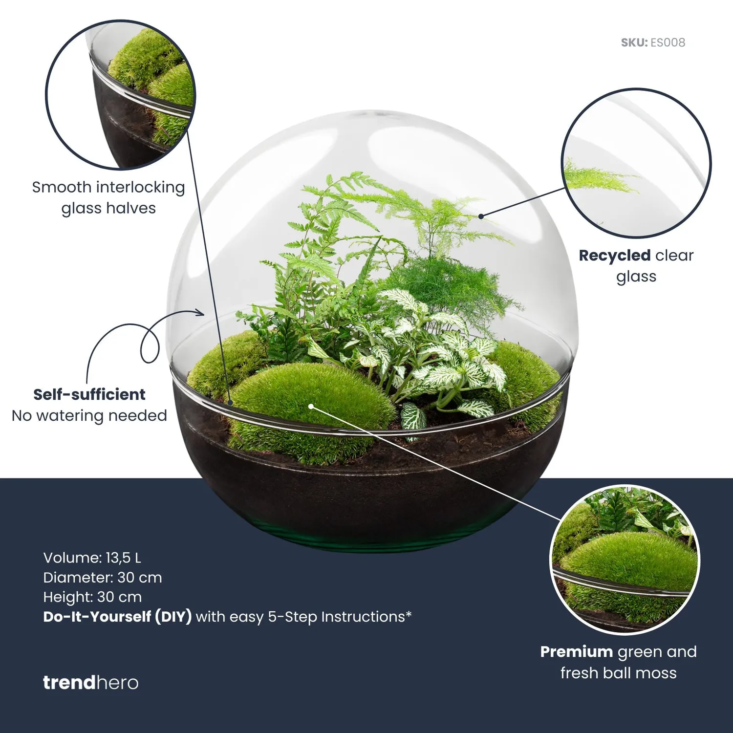 Urbanjungl Dome XL planten terrarium DIY kit 28 cm stolp