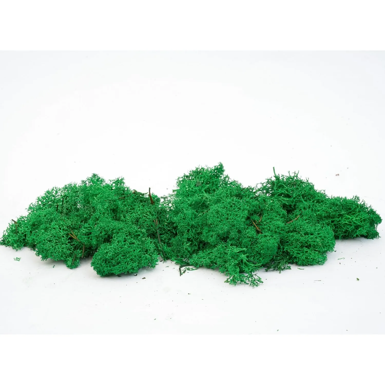 Urbanjungl rendiermos decoratie donkergroen 50 g