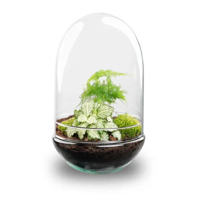 Urbanjungl Egg XL planten terrarium glazen stolp