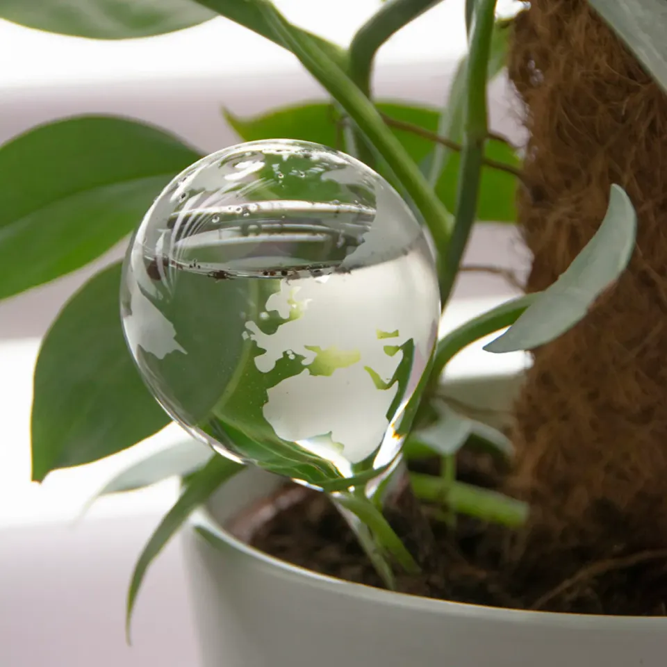 Urbanjungl Planten waterbol 20 cm wereldbol