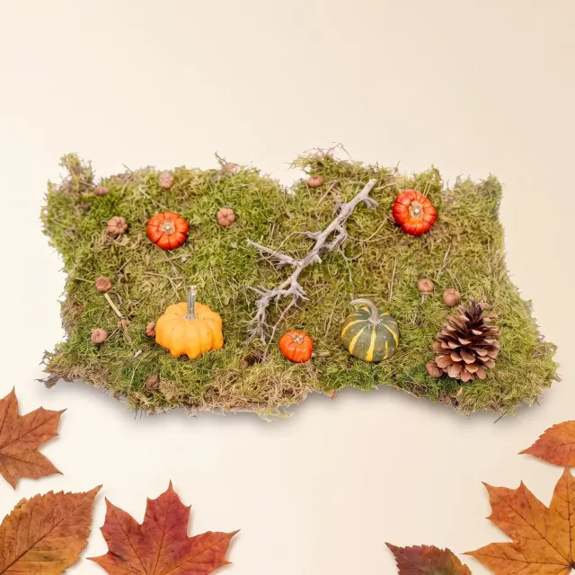Urbanjungl Herfst deco kit Medium echte pompoen 6 cm